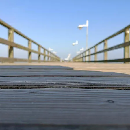 Frieda 8 * 제바트헤링스도르프